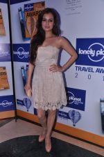Dia Mirza at Lonely Planet Awards in Mumbai on 7th June 2013 (66).JPG